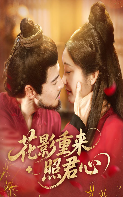 花影重来照君心