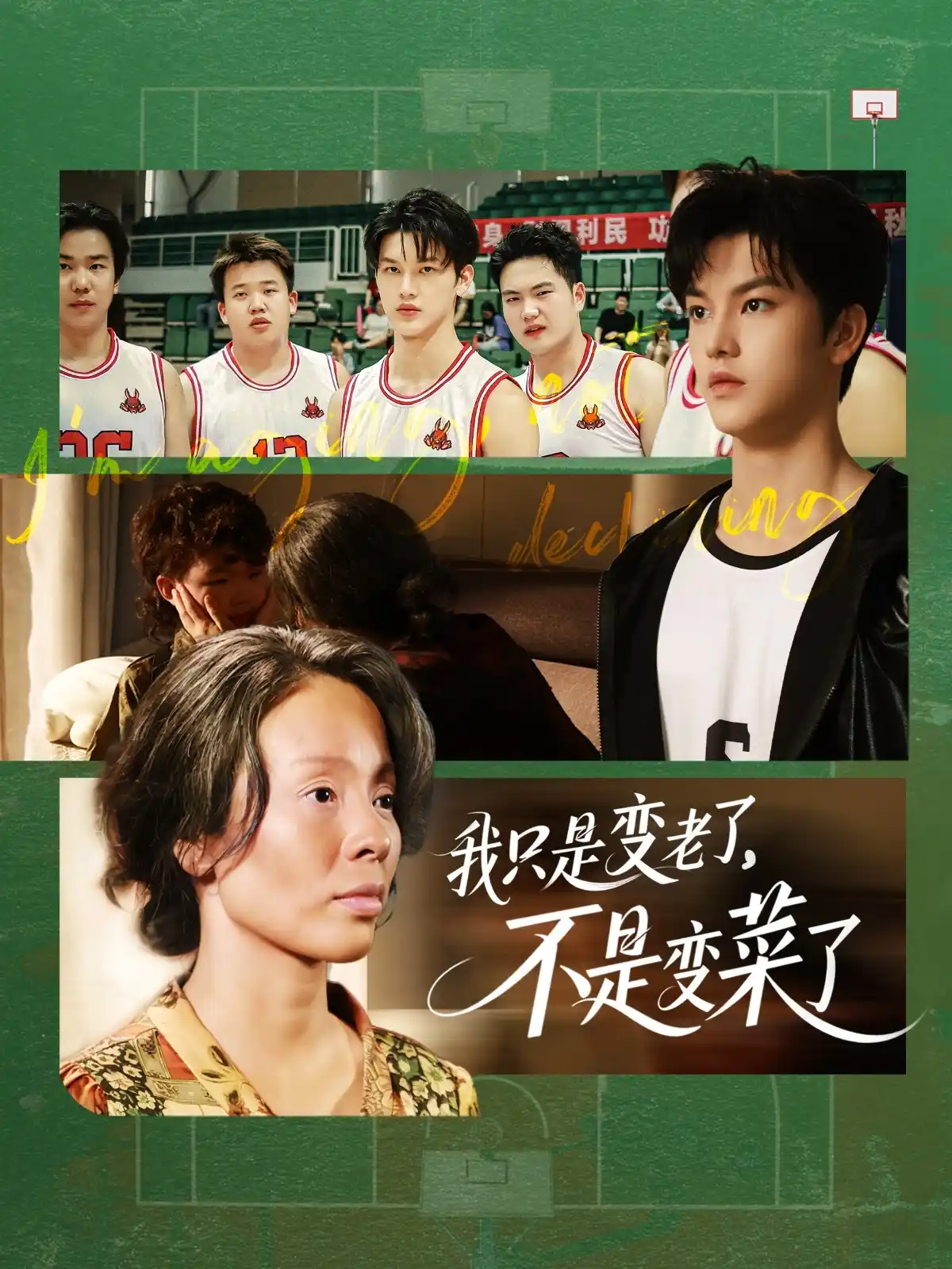 我只是变老了，不是变菜了