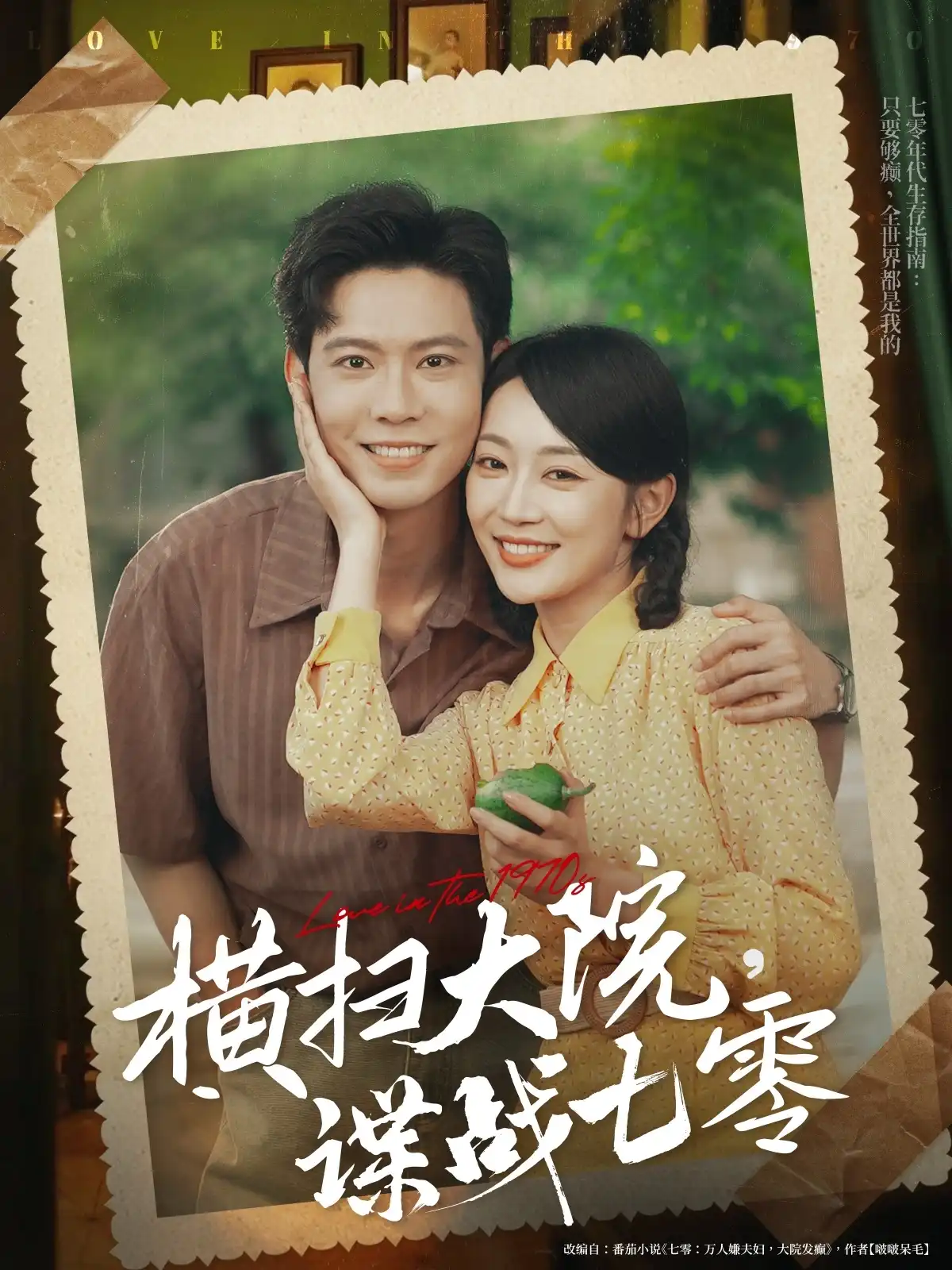 横扫大院谍战七零