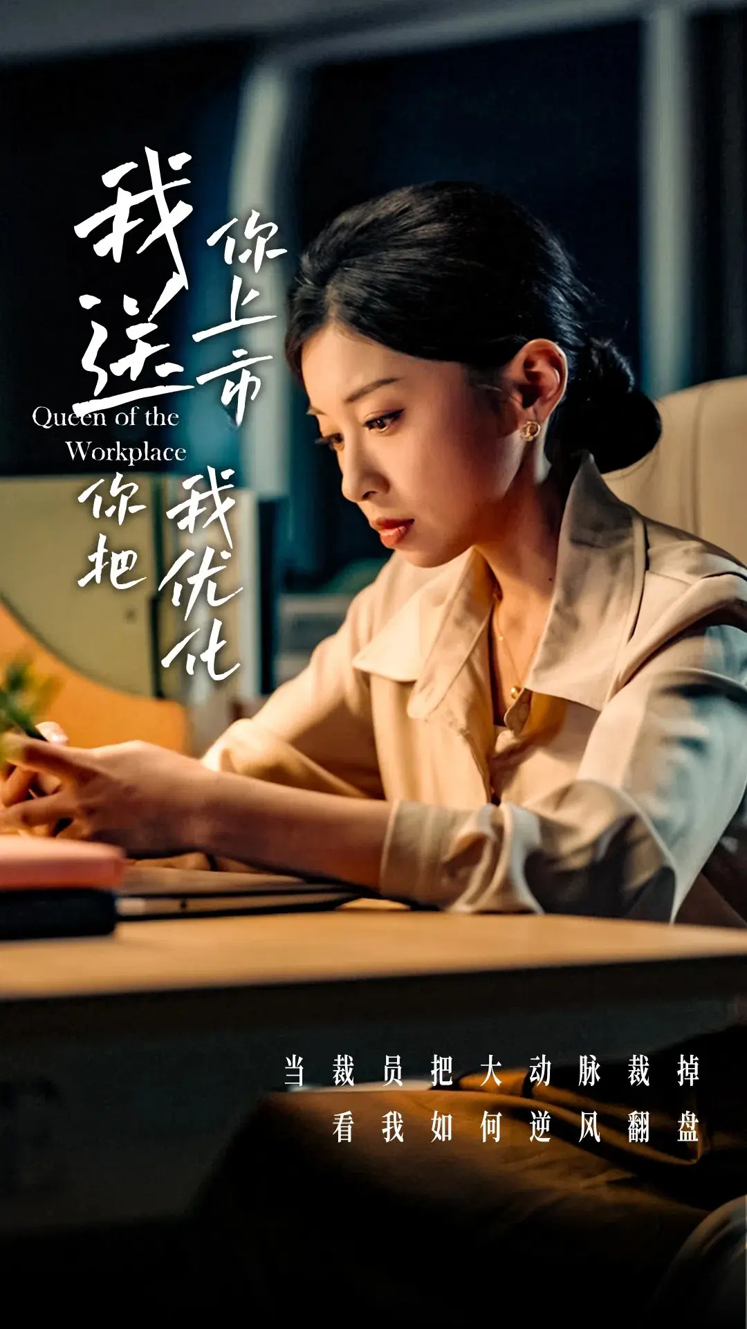 我送你上市你把我优化