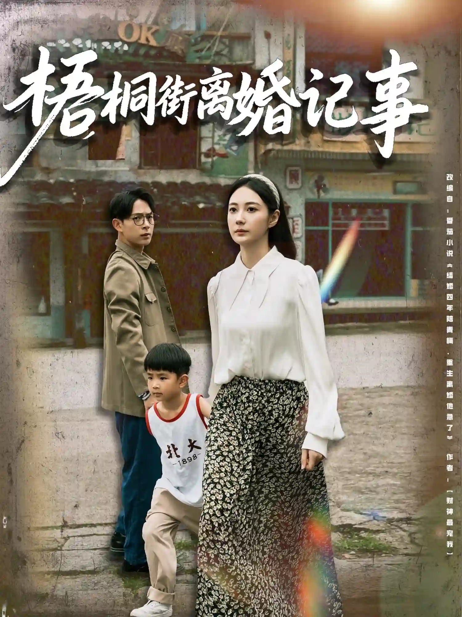 梧桐街离婚记事