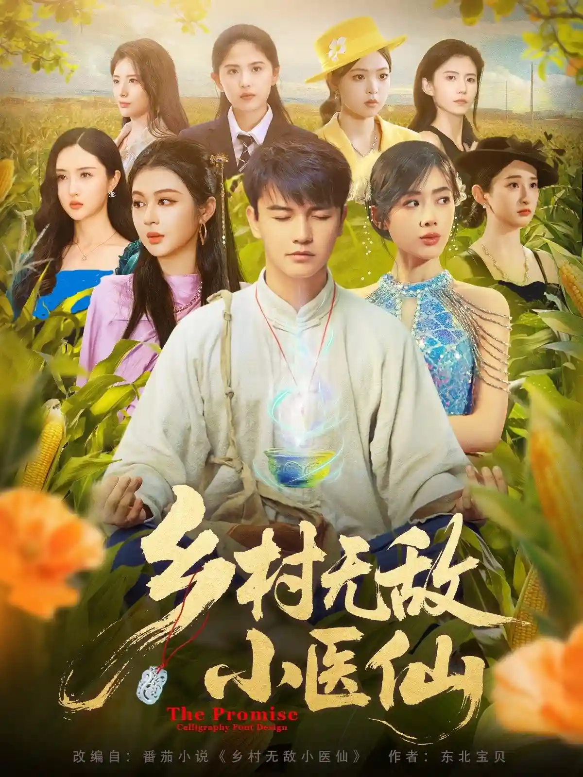 乡村无敌小医仙