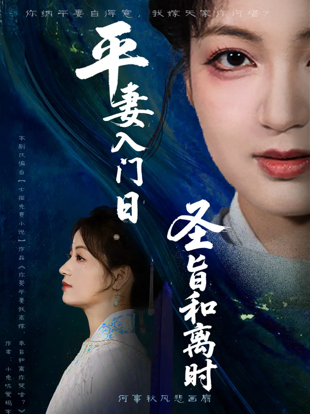 平妻入门日圣旨和离时