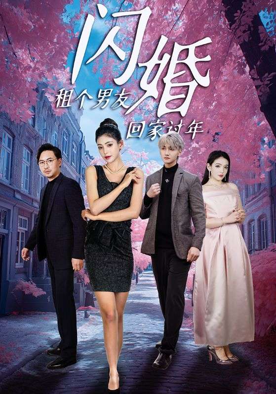 闪婚租个男友回家过年