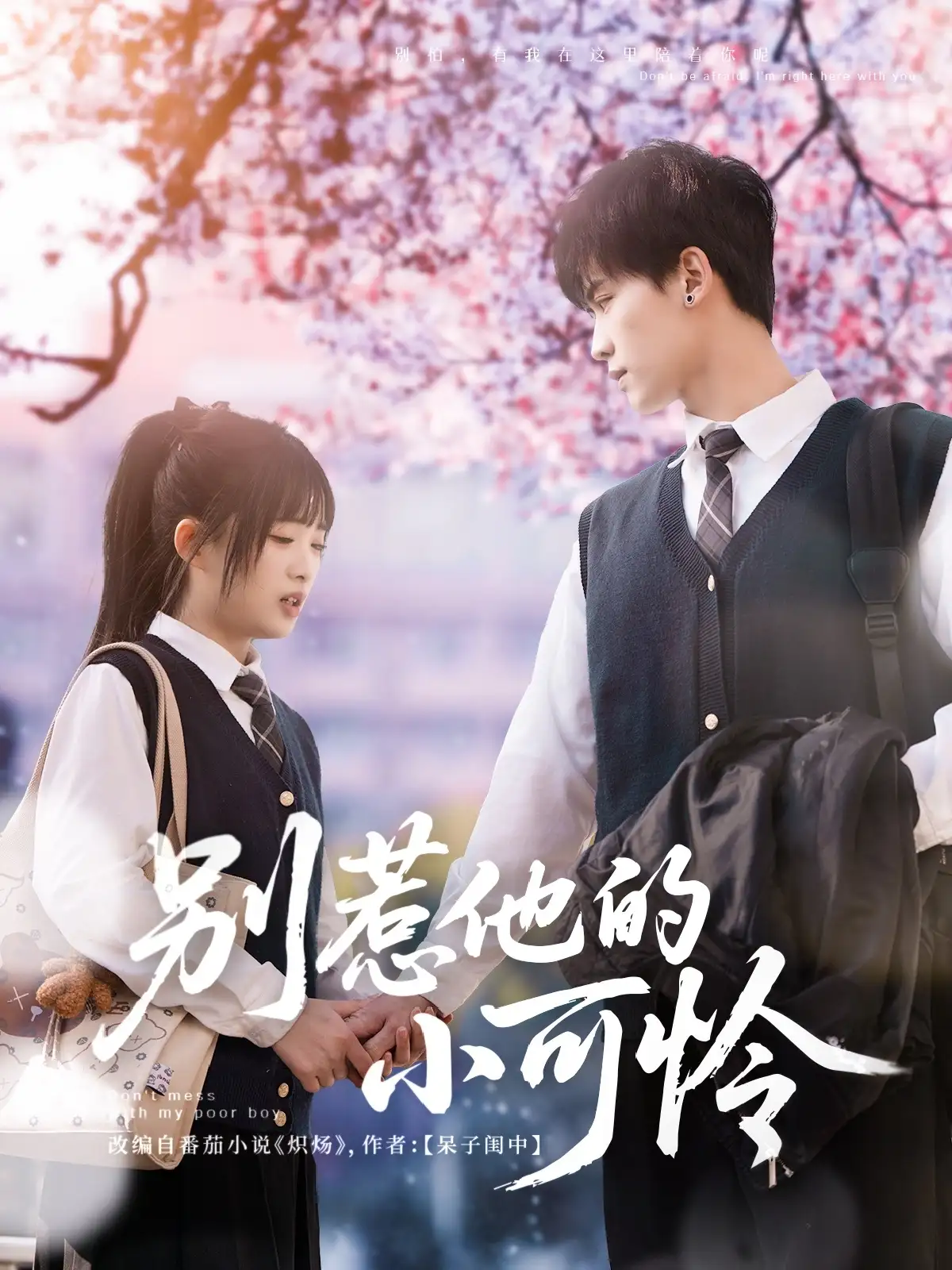 别惹他的小可怜