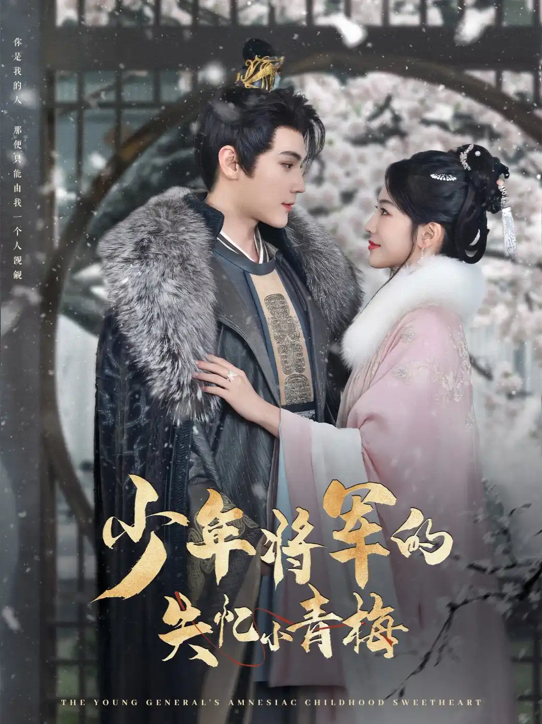 少年将军的失忆小青梅