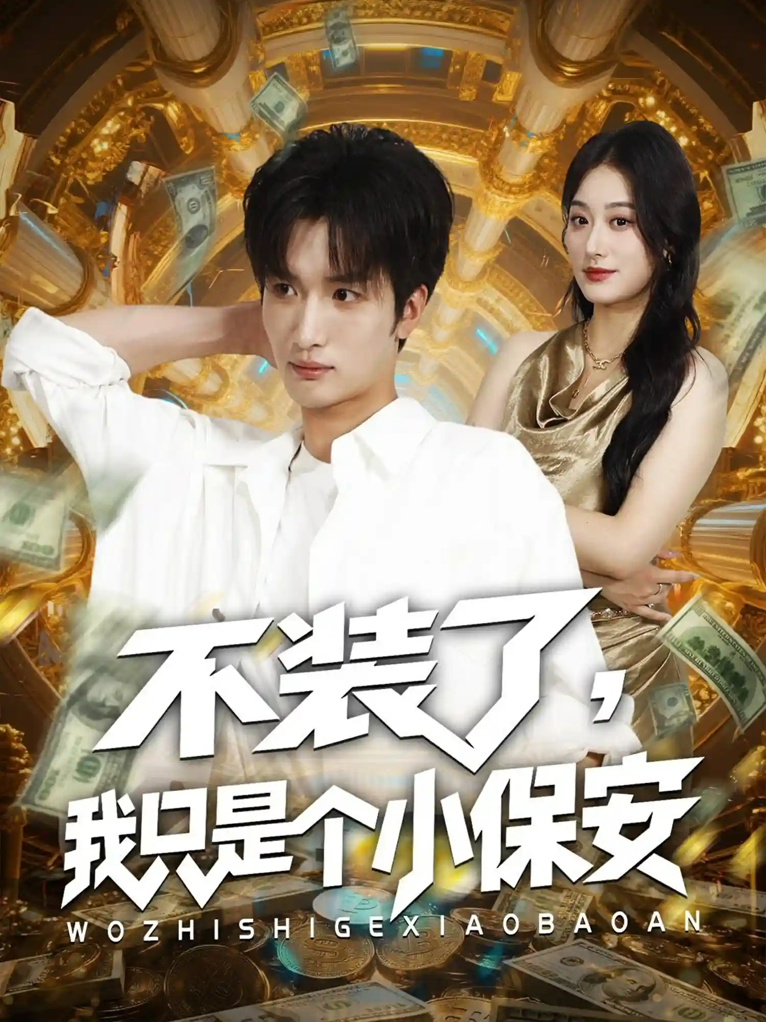 不装了我只是个小保安