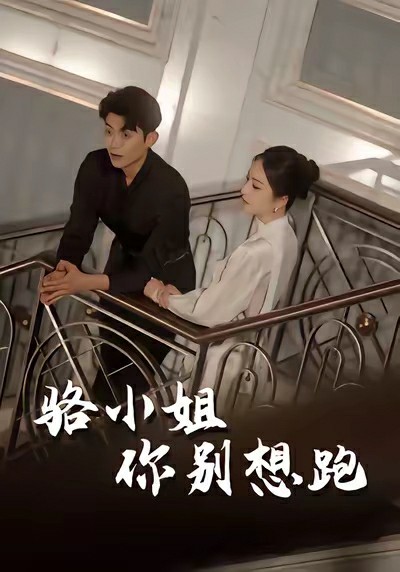 骆小姐你别想跑