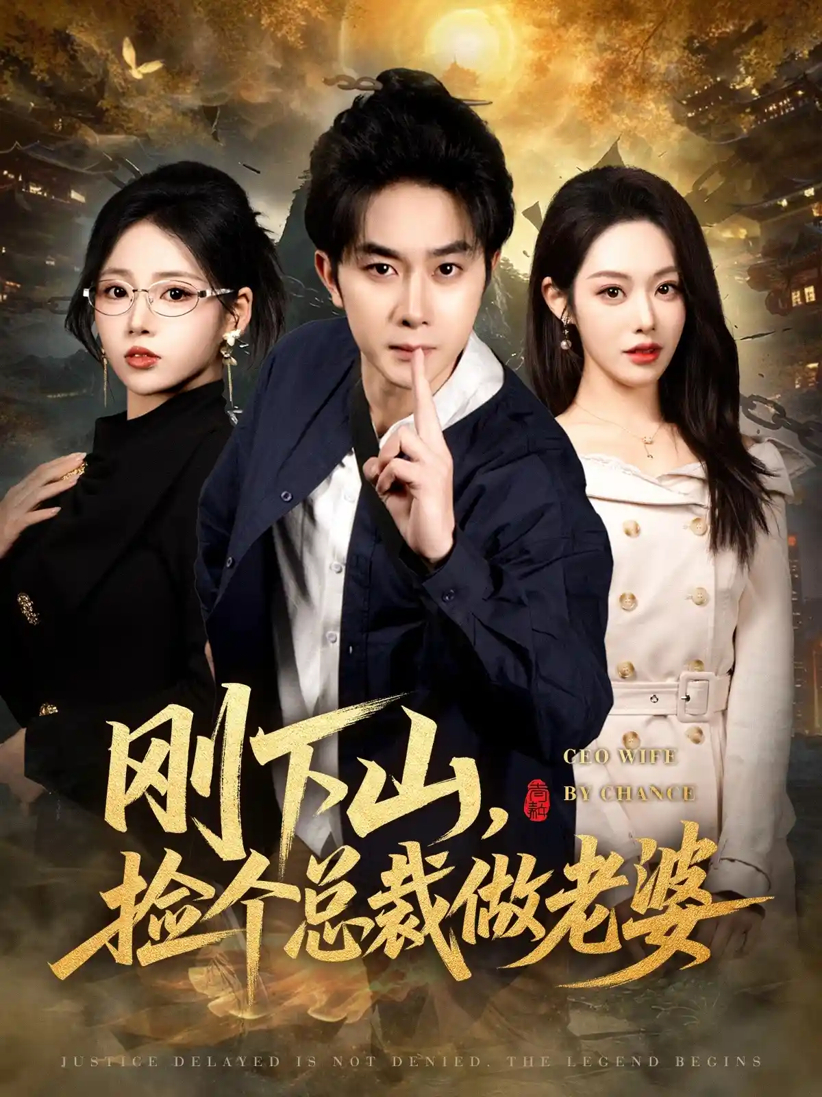 刚下山捡个总裁做老婆